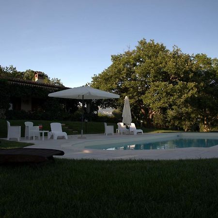 The Forest House Isernia Extérieur photo