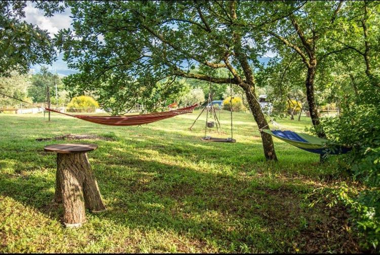 Bed and Breakfast The Forest House à Isernia Extérieur photo