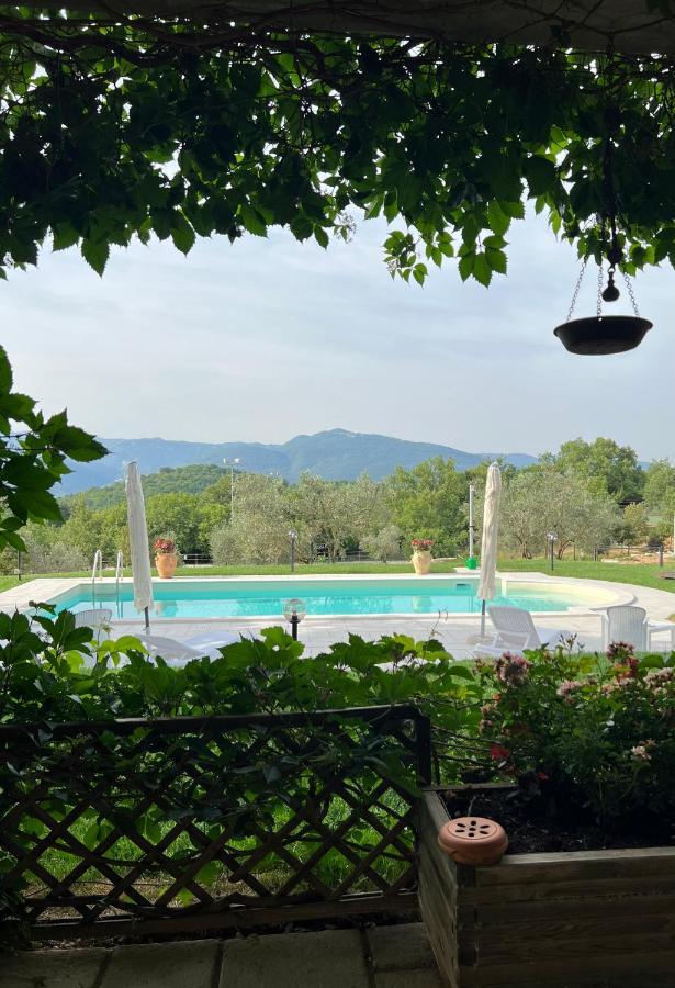 The Forest House Isernia Extérieur photo